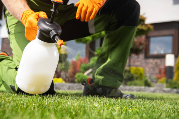 Best Mosquito Control Services  in Mountain Road, VA