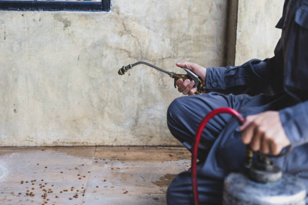 Best Best Pest Control Companies  in Mountain Road, VA